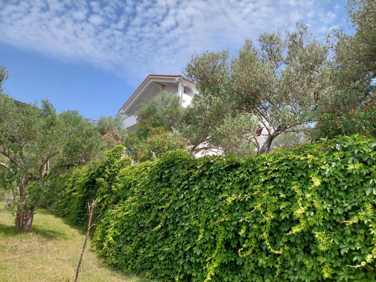 Apartment Zorka Supetarska Draga Zewnętrze zdjęcie